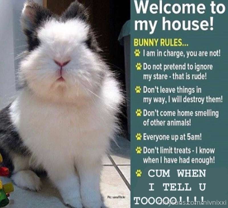 hop, hop, hop, hopping onto your feed to remind u the rules ..