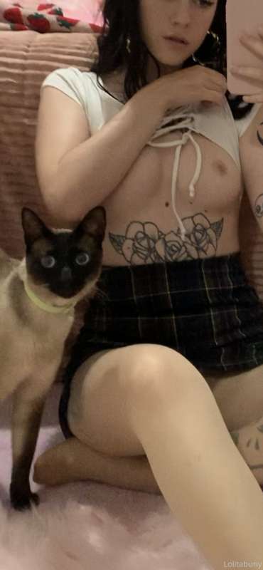 Cuando pillas a tu dueña haciendo travesuras por internet 😳🐱..