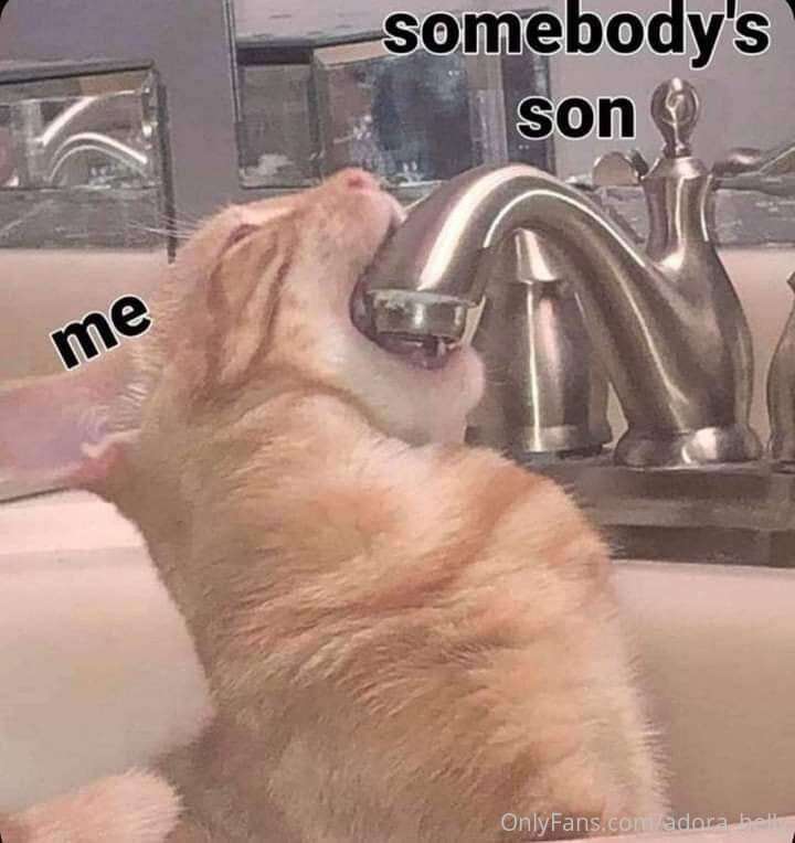 Y’all needed to see this meme