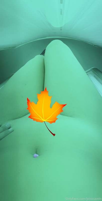 Summer is over where I live 🍁🍂 so it’s back to tanning ☀️ 1