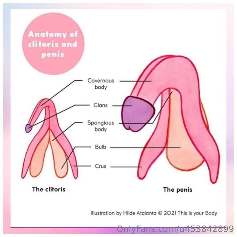 Finally, the long-awaited post about masturbation. Many have.. 3