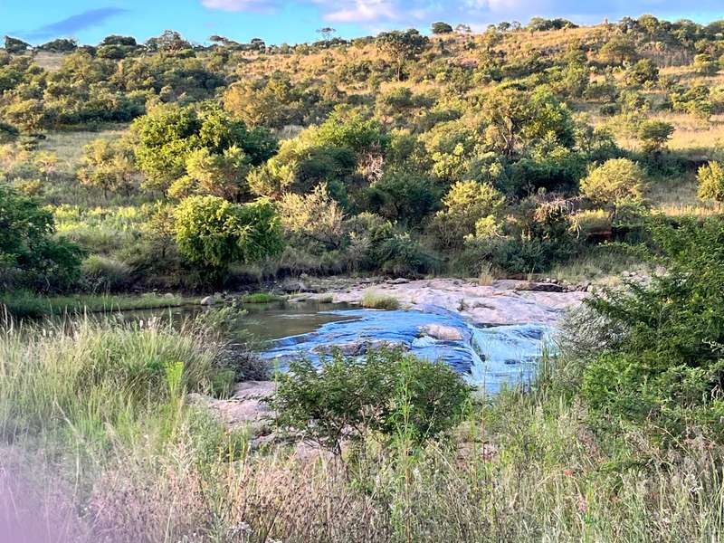 Sorry about the silence. Went on a safari. Signal is terribl.. 1