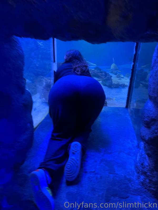 Aquarium date that ends with a blowjob in the parking lot? 😜