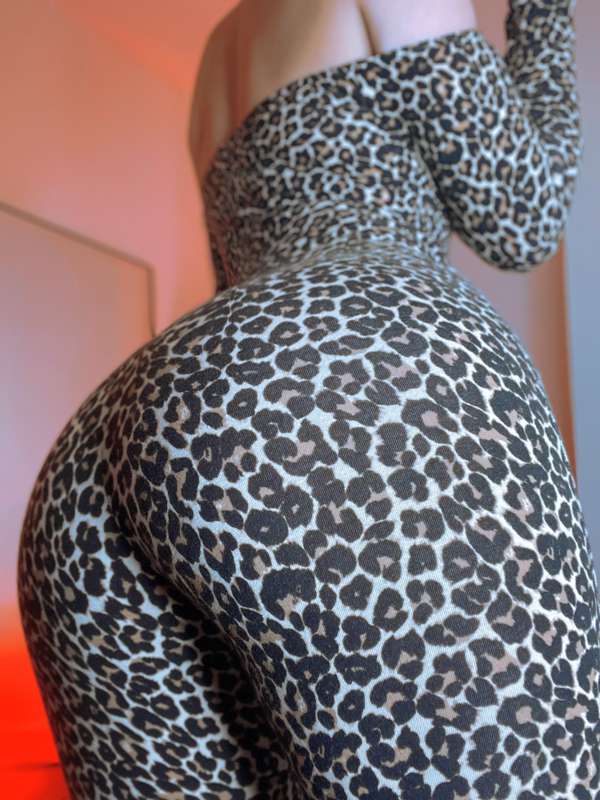 You like cats? 
‘Cause I know a pussy you can play with 🧶 6