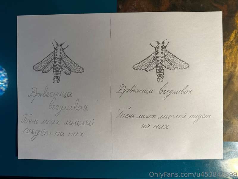My drawings with both left and right hand. I’m not sure if t..