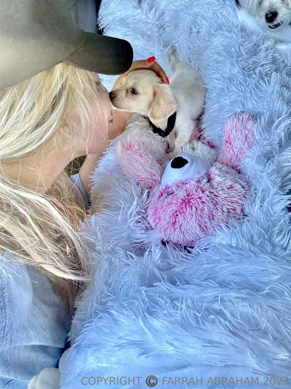 My Man got me a baby puppy 🐶 today ! What should I name my p.. 4
