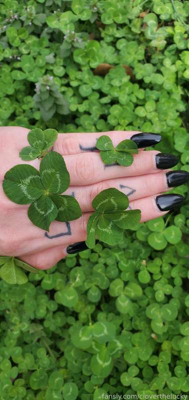 Cloverthelucky - Fansly - 24 Mar, 2025 35