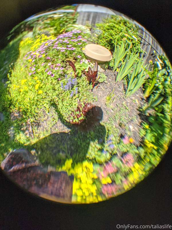 goofy goofy fisheye fisheye

I'm basking in shame over how o.. 3