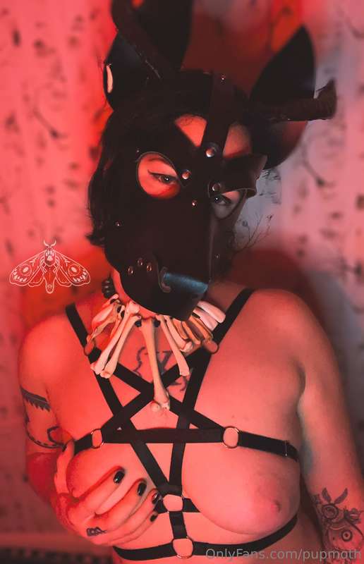 Pupmoth - Onlyfans - 11 May, 2024