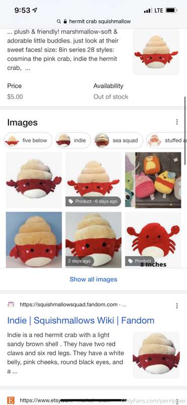 Does anyone have this Squishmallow in a store near them? I j..