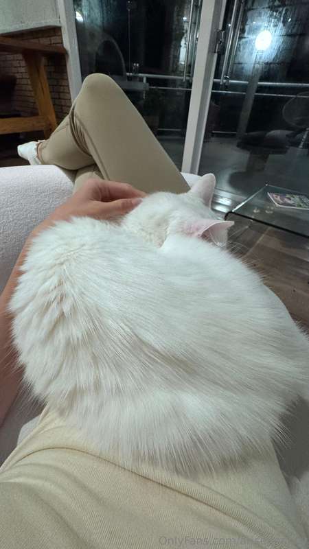 She's so round! It doesn't even look like Yuki spent the who..
