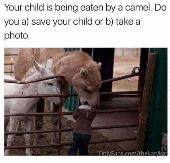 Memes! 2