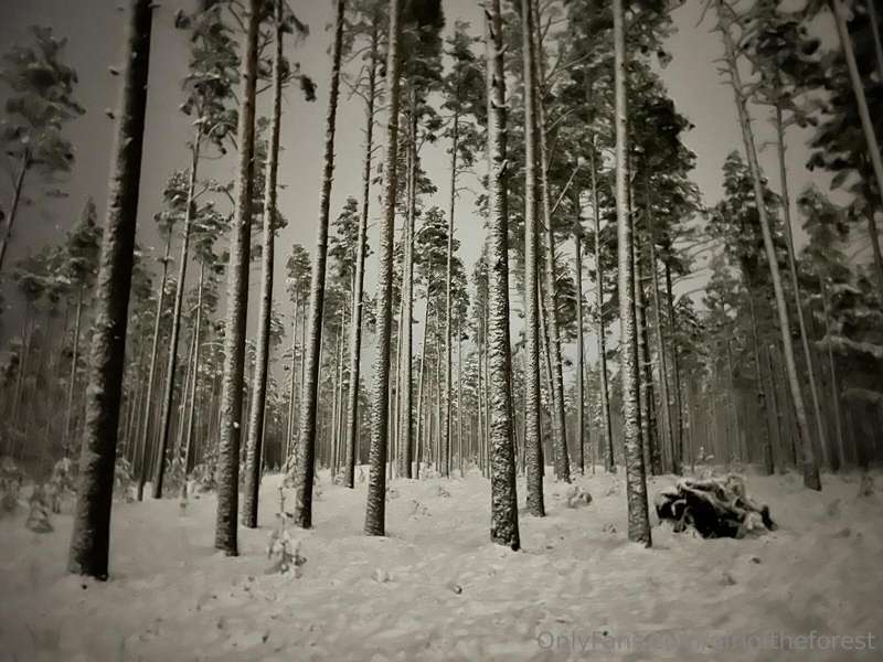 We finally got some snow! We’ve been waiting for so long—thi.. 1