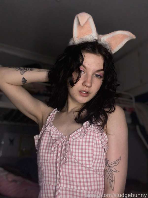 Sludgebunny - Fansly - 29 Nov, 2022