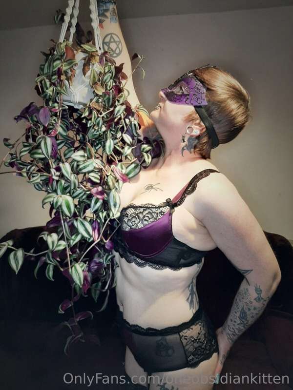It's a plant care kind of day 🖤💜