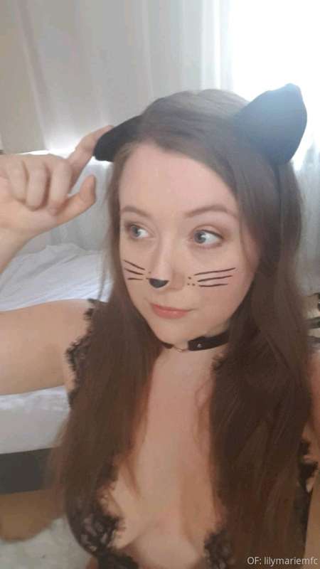 A random kitty appears (July 2018, Snapchat). 1