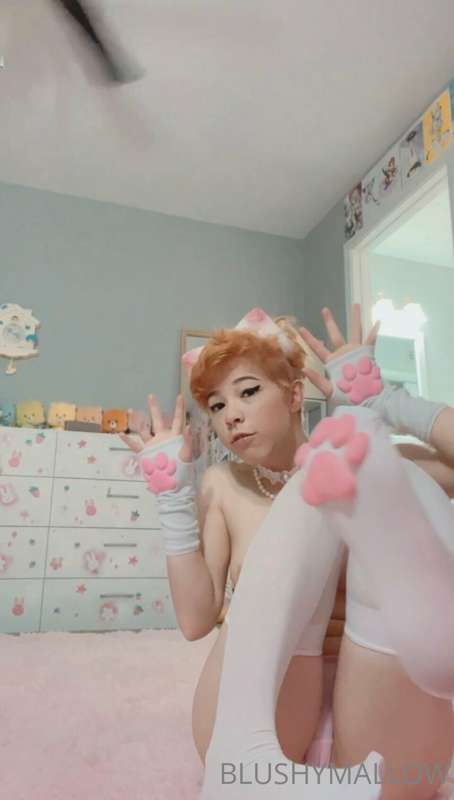 Another kitty girl post :3 what’s your favorite picture? I t.. 14