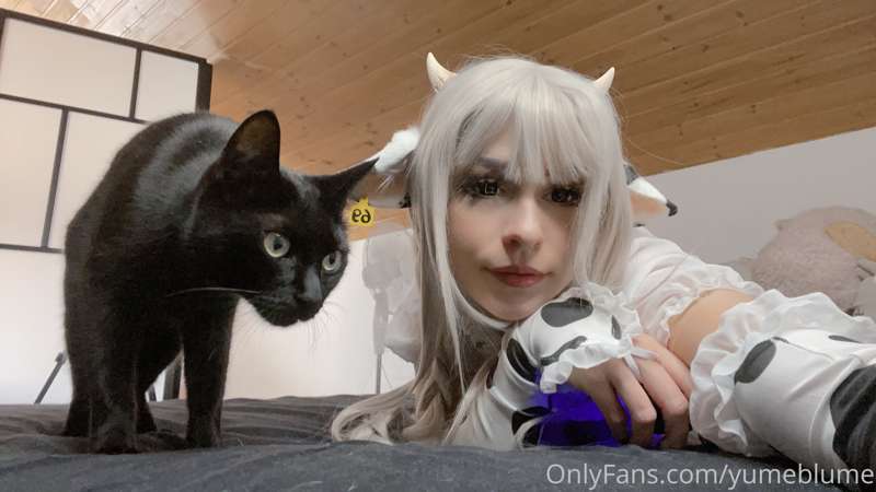 Im editing today the new cow pics 🙏🏻✨