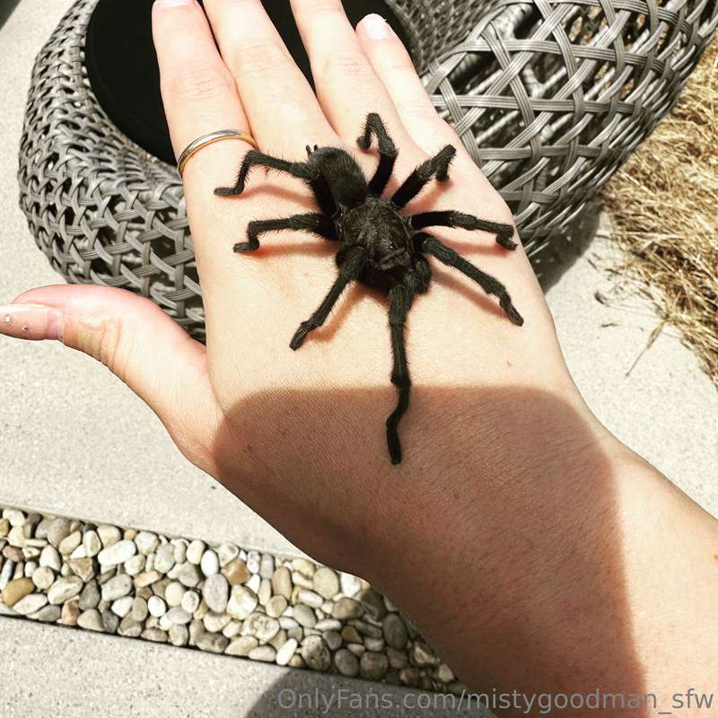 Mistygoodman_Sfw - Onlyfans - 04 Jul, 2024