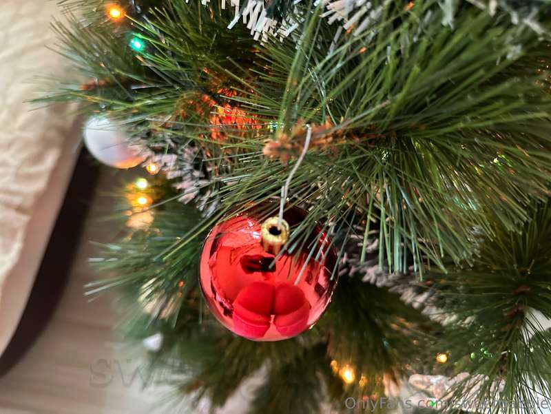 Will you help me decorate the Christmas tree , or is my 