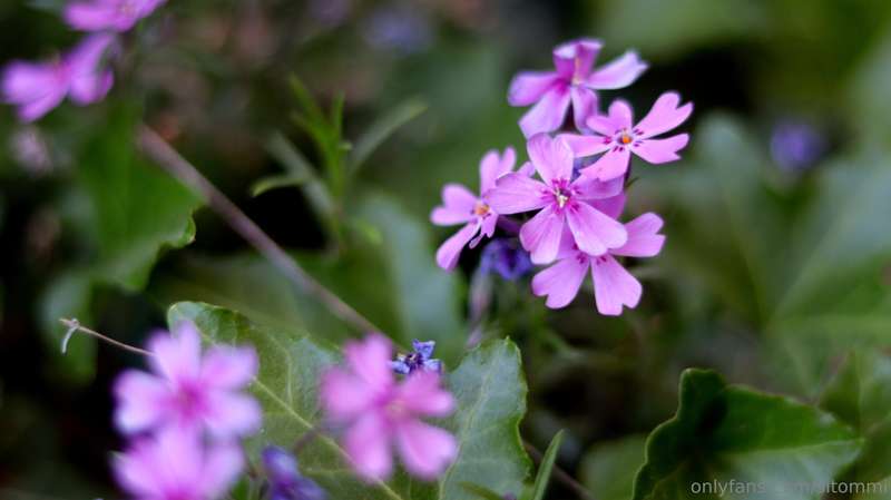 Hi, have a nice Thursday, everyone :)Last evening when I wen.. 20