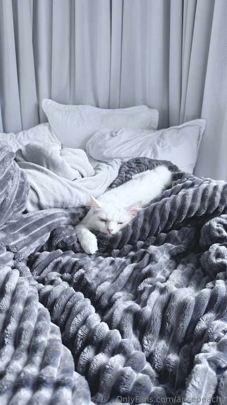 Sleeping Yuki ;3