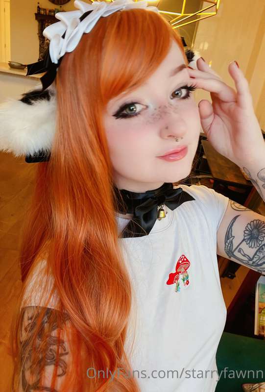 Moooo 2