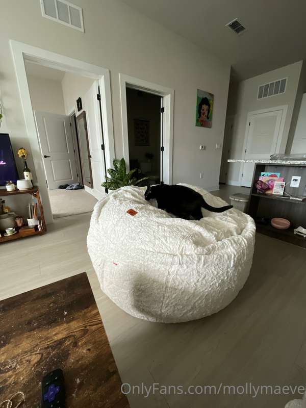 Look at my new king sized bean bag chair 😍😭 1