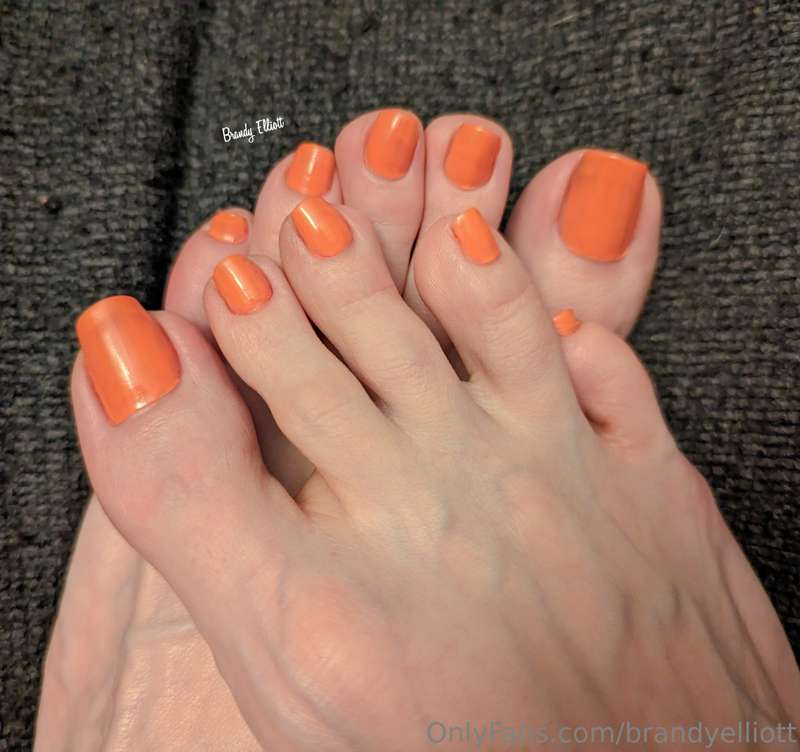 🍊 1