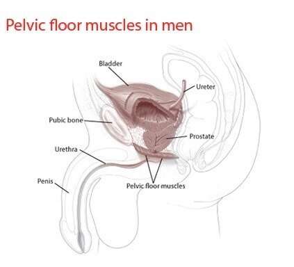 Kegels are for men too! They help with stronger erections, d..