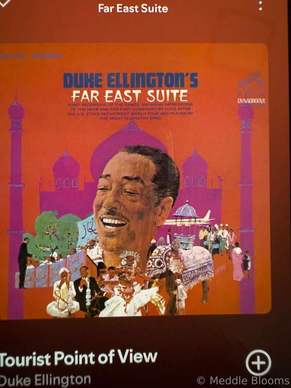 Album for the morning 💕