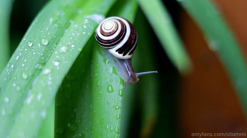 As the cover photo suggests, today I have just a few boring .. 1