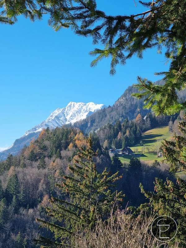 Free days look like that! 😎 
Every year I go to the Alps in .. 3