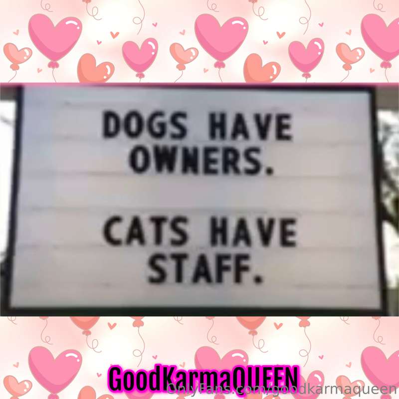 And that's why I love love love kitties . . .

They're just ..