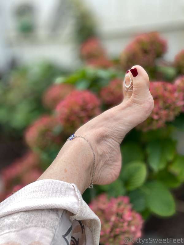 In early fall’s tender bloom, my garden whispers truths— To .. 3