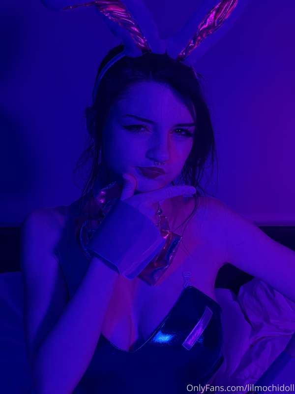 Dva bunny 9