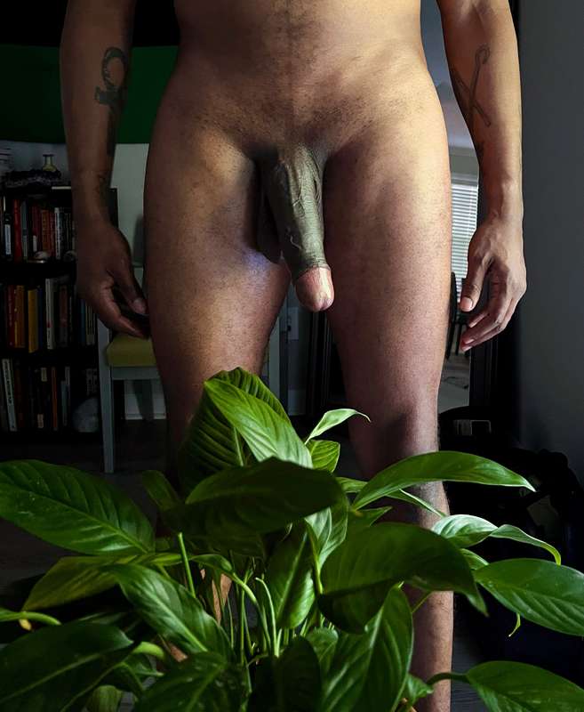 Happy Thick Dick Thursday!  Which one is your favorite? 1