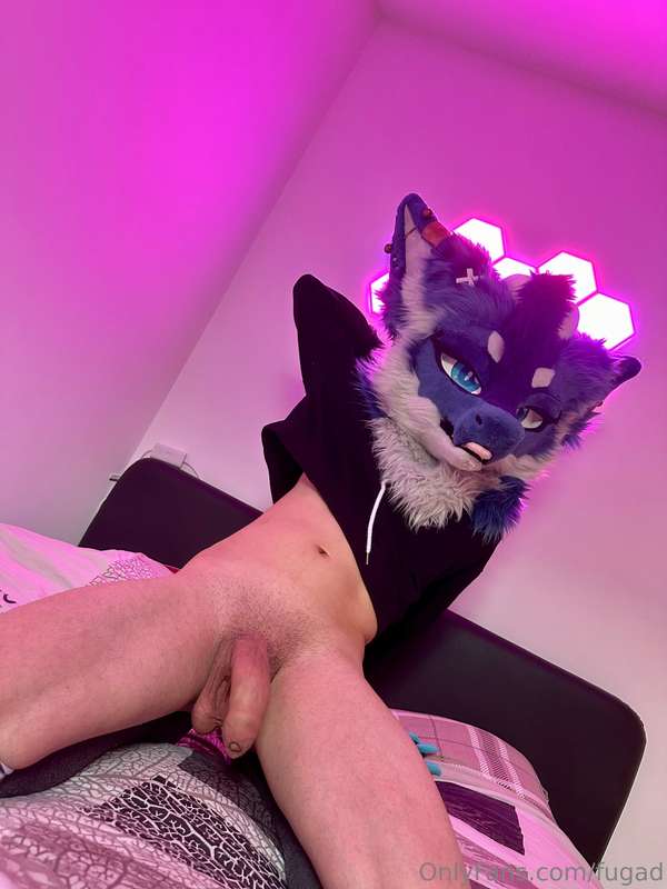 Pics for the next fursuit friday and exclusif too ! :p 1
