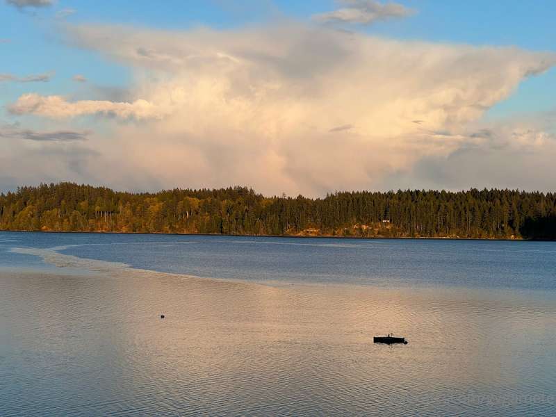 Cool evening light