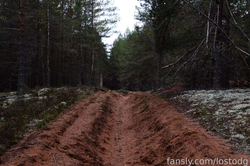 Lostodg - Fansly - 24 Sep, 2022 6