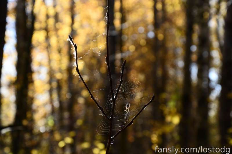 Lostodg - Fansly - 14 Oct, 2022 6