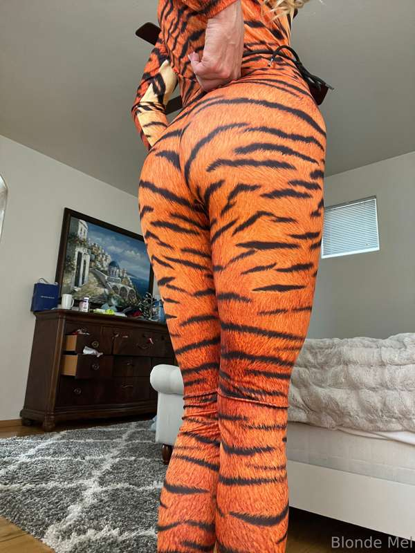 Swipe to strip this naughty tiger 🐅 25