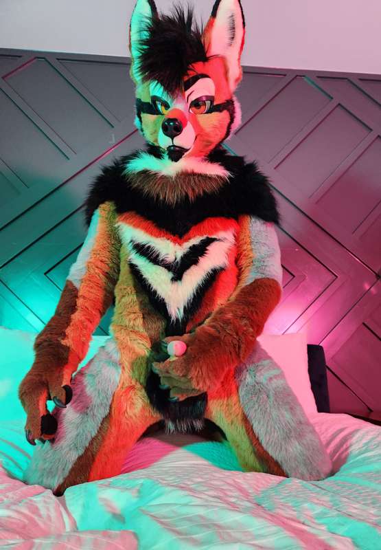 Yote ready for some play time 🐶💦   Come join?   He definitel.. 3