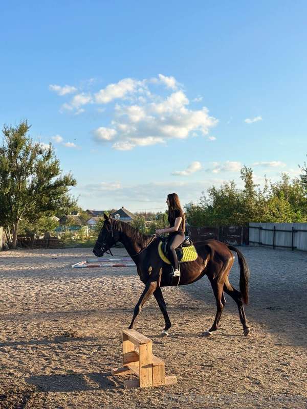 This horse's name is Lightning and I fell in love with her a..