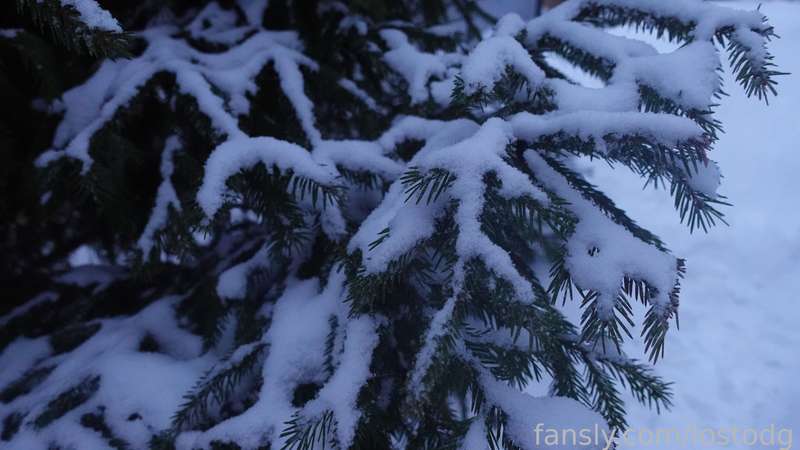 Lostodg - Fansly - 26 Feb, 2023 9