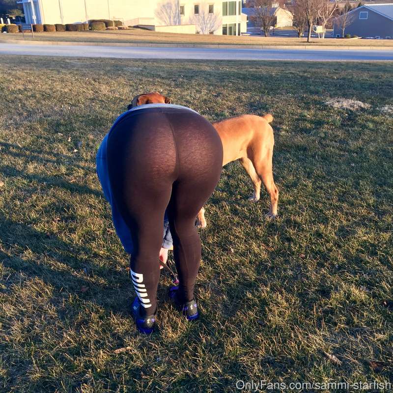 Taking the dog for a walk in the park 😉