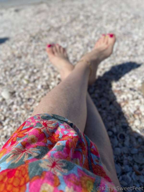I love all these tiny little shells on the beach.  11