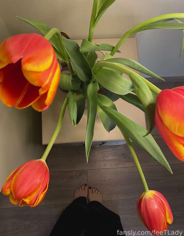 Feetlady - Fansly - 10 Mar, 2023