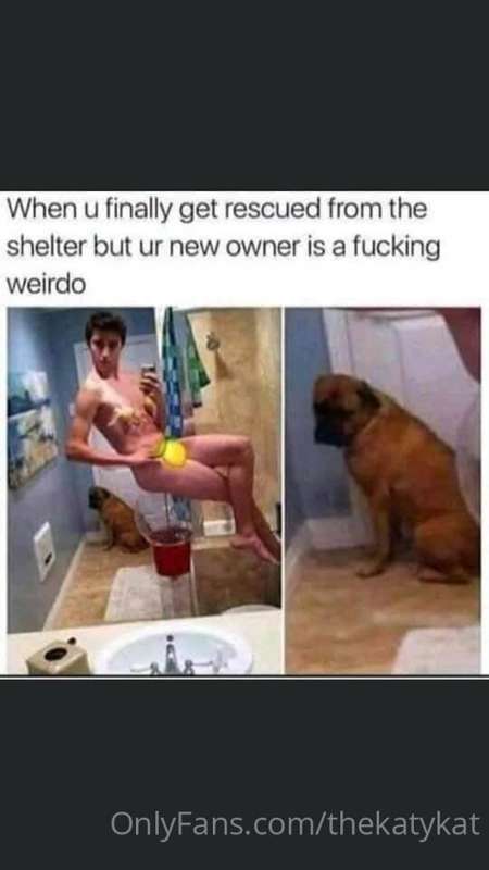 Meme time!  (10 memes!) 5