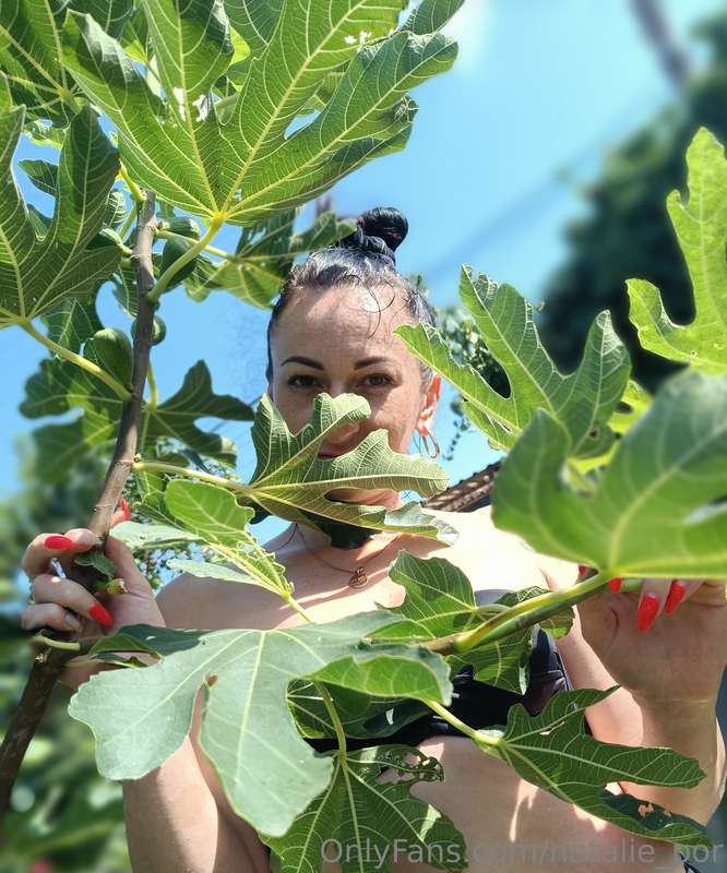 Natalie_Por - Onlyfans - 14 Aug, 2023